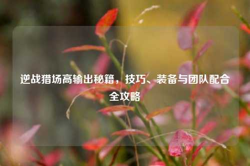 逆战猎场高输出秘籍，技巧、装备与团队配合全攻略