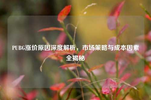 PUBG涨价原因深度解析,市场策略与成本因素全揭秘