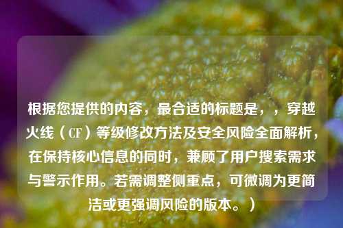 根据您提供的内容，最合适的标题是，，穿越火线（CF）等级修改 *** 及安全风险全面解析，在保持核心信息的同时，兼顾了用户搜索需求与警示作用。若需调整侧重点，可微调为更简洁或更强调风险的版本。）