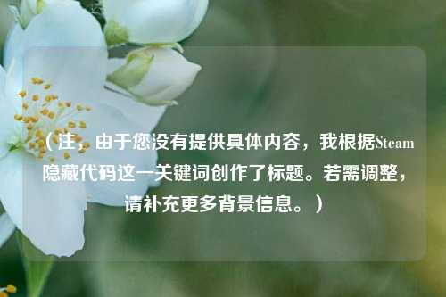 (注,由于您没有提供具体内容,我根据Steam隐藏代码这一关键词创作了标题。若需调整,请补充更多背景信息。)