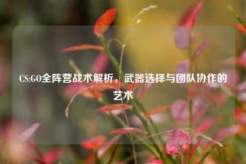 CS:GO全阵营战术解析，武器选择与团队协作的艺术