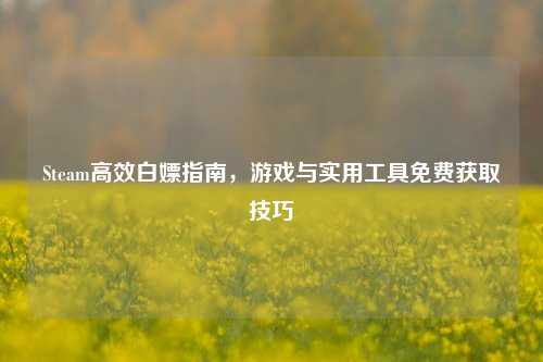 Steam高效白嫖指南，游戏与实用工具免费获取技巧