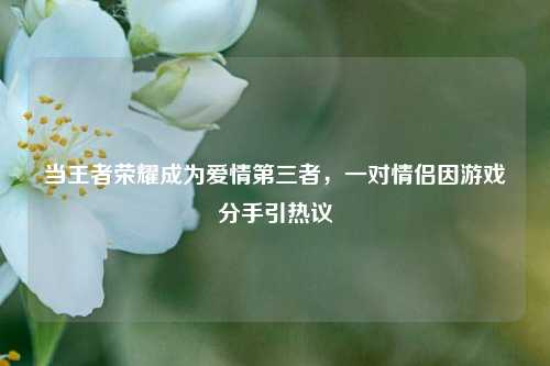 当王者荣耀成为爱情第三者，一对情侣因游戏分手引热议