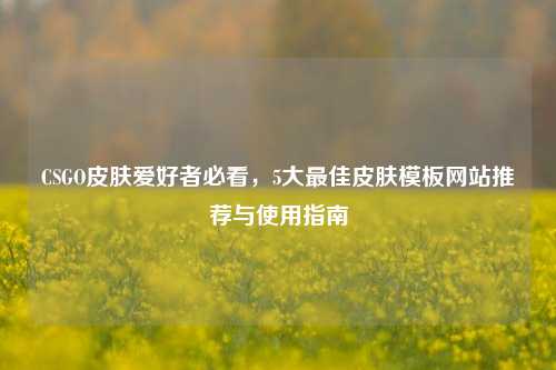 CSGO皮肤爱好者必看，5大更佳皮肤模板网站推荐与使用指南