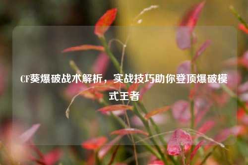 CF葵爆破战术解析，实战技巧助你登顶爆破模式王者