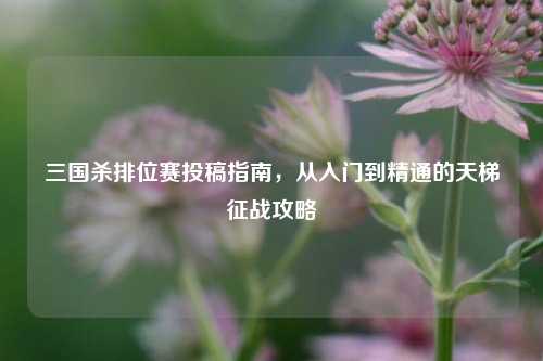 三国杀排位赛投稿指南,从入门到精通的天梯征战攻略