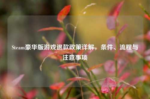 Steam豪华版游戏退款政策详解，条件、流程与注意事项