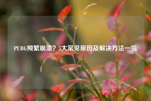 PUBG频繁崩溃？5大常见原因及解决 *** 一览