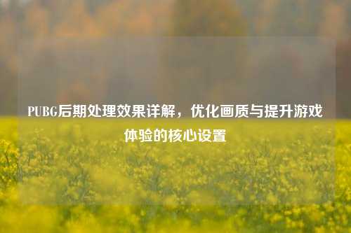 PUBG后期处理效果详解，优化画质与提升游戏体验的核心设置