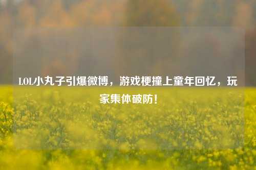 LOL小丸子引爆微博，游戏梗撞上童年回忆，玩家集体破防！
