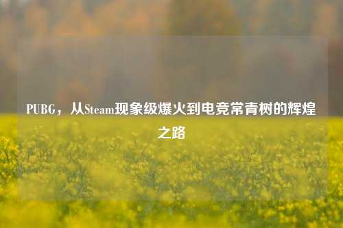 PUBG，从Steam现象级爆火到电竞常青树的辉煌之路