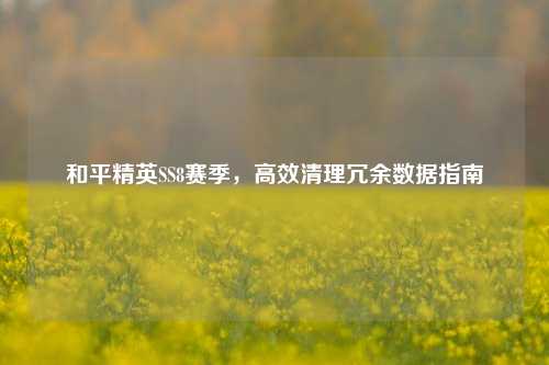 和平精英SS8赛季，高效清理冗余数据指南