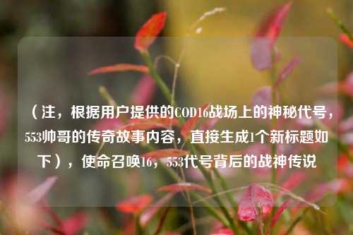 （注，根据用户提供的COD16战场上的神秘代号，553帅哥的传奇故事内容，直接生成1个新标题如下），使命召唤16，553代号背后的战神传说
