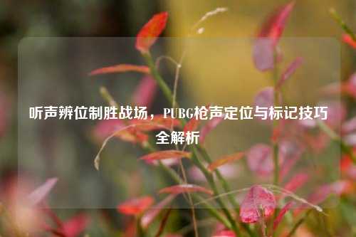 听声辨位制胜战场，PUBG枪声定位与标记技巧全解析