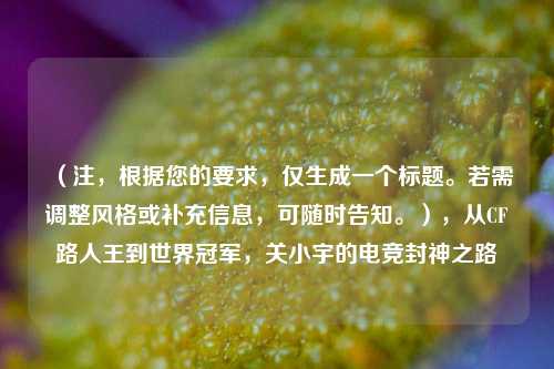 (注,根据您的要求,仅生成一个标题。若需调整风格或补充信息,可随时告知。),从CF路人王到世界冠军,关小宇的电竞封神之路