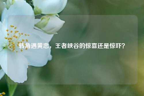 转角遇黄忠，王者峡谷的惊喜还是惊吓？