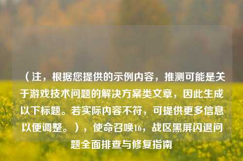 (注,根据您提供的示例内容,推测可能是关于游戏技术问题的解决方案类文章,因此生成以下标题。若实际内容不符,可提供更多信息以便调整。),使命召唤16,战区黑屏闪退问题全面排查与修复指南