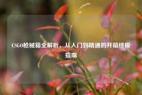 CSGO枪械箱全解析，从入门到精通的开箱终极指南