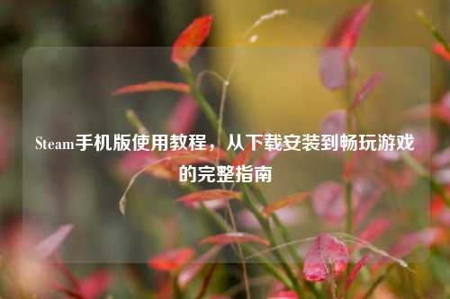 Steam手机版使用教程，从下载安装到畅玩游戏的完整指南