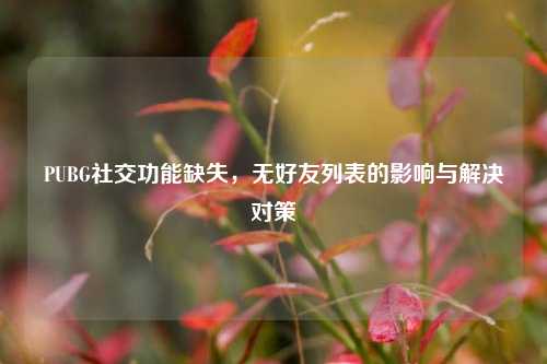 PUBG社交功能缺失，无好友列表的影响与解决对策