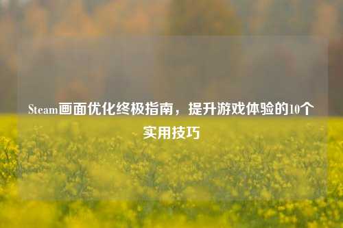 Steam画面优化终极指南，提升游戏体验的10个实用技巧