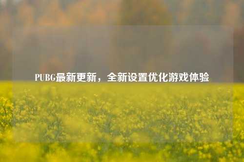 PUBG最新更新，全新设置优化游戏体验