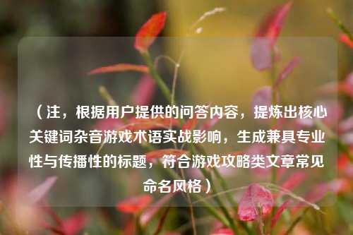 （注，根据用户提供的问答内容，提炼出核心关键词杂音游戏术语实战影响，生成兼具专业性与传播性的标题，符合游戏攻略类文章常见命名风格）