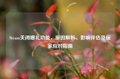 Steam关闭赠礼功能，原因解析、影响评估及玩家应对指南