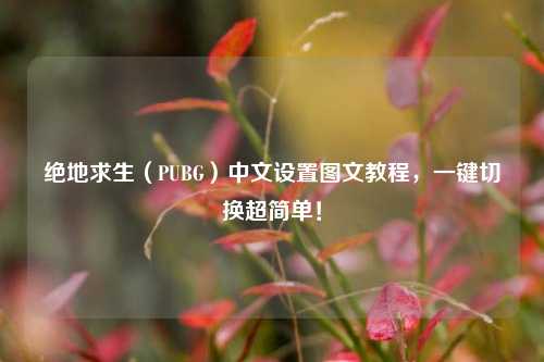绝地求生（PUBG）中文设置图文教程，一键切换超简单！