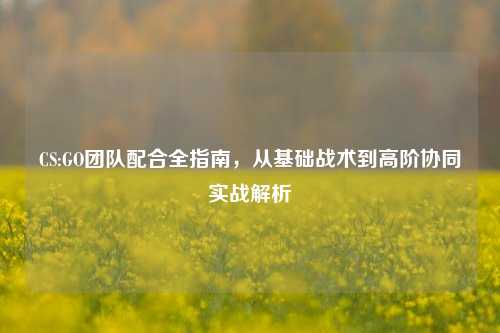CS:GO团队配合全指南，从基础战术到高阶协同实战解析