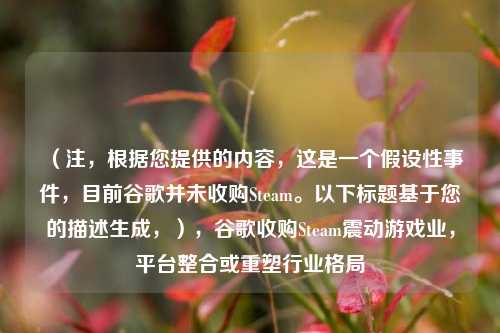 (注,根据您提供的内容,这是一个假设性事件,目前谷歌并未收购Steam。以下标题基于您的描述生成,),谷歌收购Steam震动游戏业,平台整合或重塑行业格局