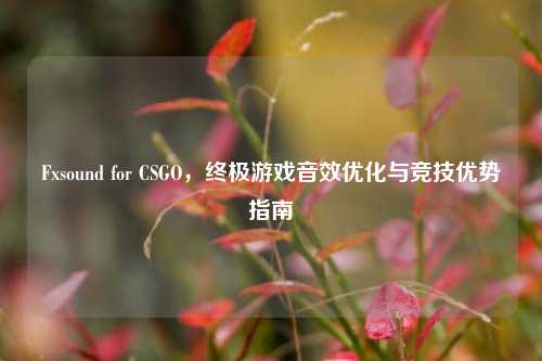 Fxsound for CSGO，终极游戏音效优化与竞技优势指南