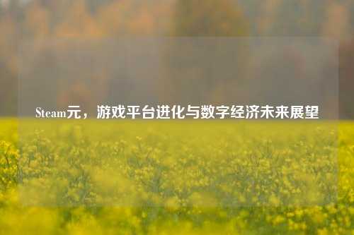 Steam元，游戏平台进化与数字经济未来展望