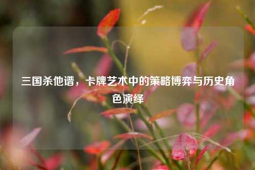 三国杀他谱，卡牌艺术中的策略博弈与历史角色演绎