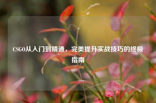 CSGO从入门到精通，完美提升实战技巧的终极指南