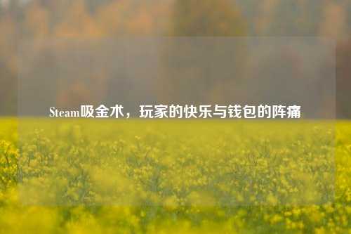 Steam吸金术,玩家的快乐与钱包的阵痛