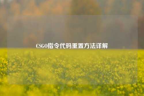 CSGO指令代码重置 *** 详解