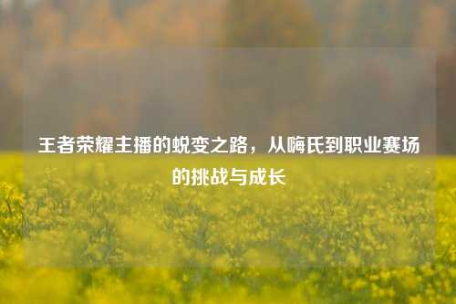 王者荣耀主播的蜕变之路，从嗨氏到职业赛场的挑战与成长