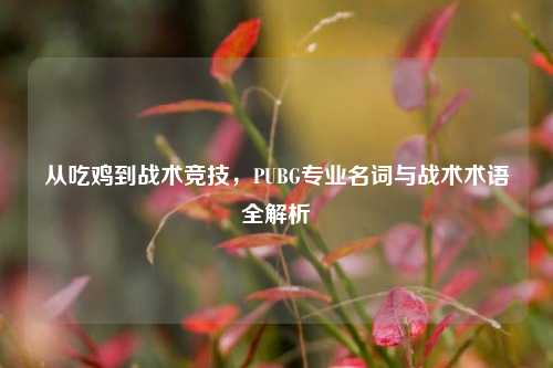 从吃鸡到战术竞技，PUBG专业名词与战术术语全解析