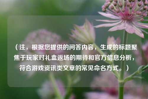 （注，根据您提供的问答内容，生成的标题聚焦于玩家对礼盒返场的期待和官方信息分析，符合游戏资讯类文章的常见命名方式。）