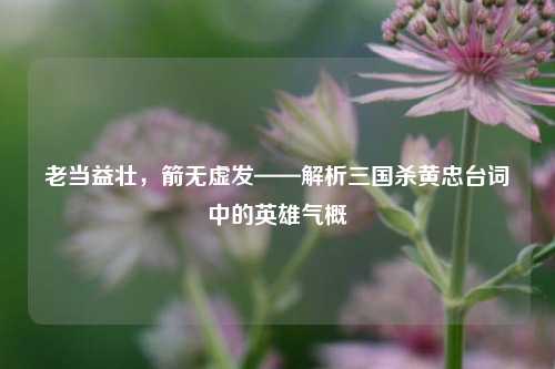 老当益壮，箭无虚发——解析三国杀黄忠台词中的英雄气概