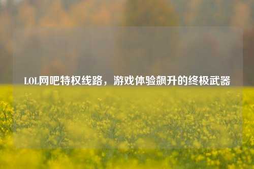 LOL网吧特权线路，游戏体验飙升的终极武器