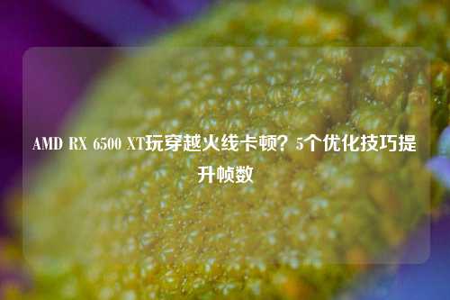 AMD RX 6500 XT玩穿越火线卡顿？5个优化技巧提升帧数