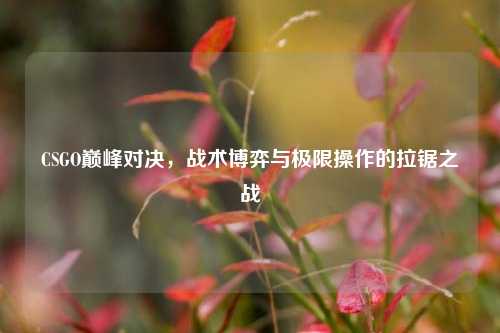 CSGO巅峰对决，战术博弈与极限操作的拉锯之战