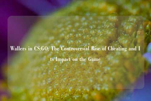 Wallers in CS:GO: The Controversial Rise of Cheating and Its Impact on the Game