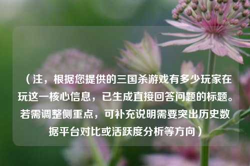 (注,根据您提供的三国杀游戏有多少玩家在玩这一核心信息,已生成直接回答问题的标题。若需调整侧重点,可补充说明需要突出历史数据平台对比或活跃度分析等方向)