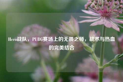 Hero战队，PUBG赛场上的无畏之师，战术与热血的完美结合