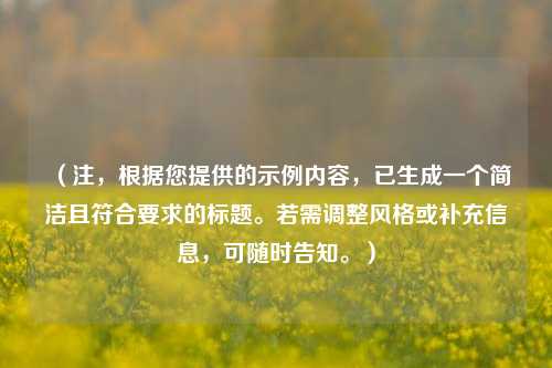 (注,根据您提供的示例内容,已生成一个简洁且符合要求的标题。若需调整风格或补充信息,可随时告知。)