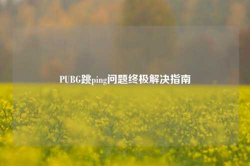 PUBG跳ping问题终极解决指南