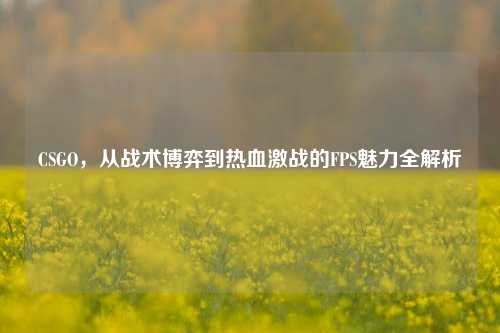 CSGO,从战术博弈到热血激战的FPS魅力全解析